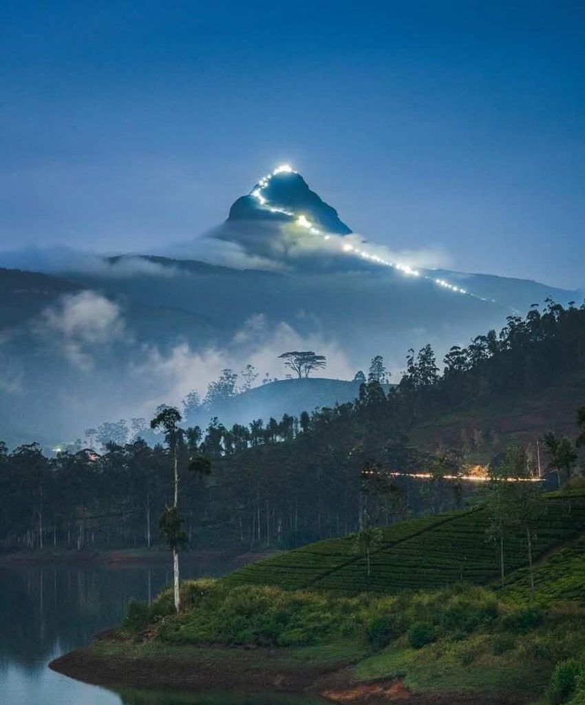 Above the Clouds