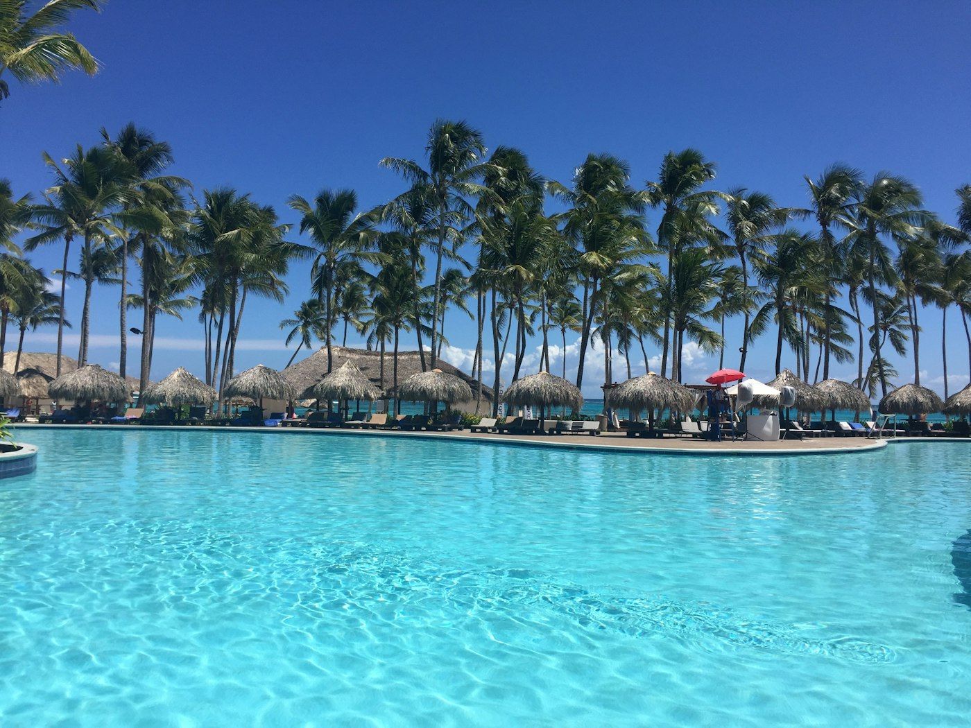 Tropical Bay