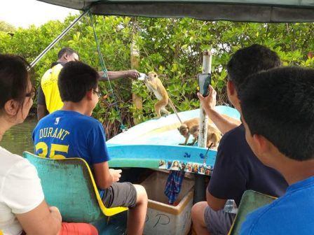 Travellers on a river safari in Sri Lanka