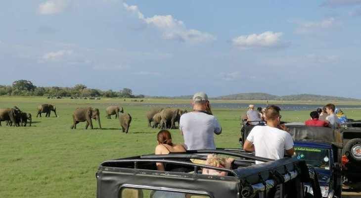 Safari jeep tour in Sri Lanka